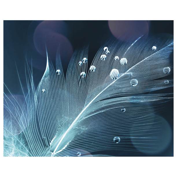 Канвас Тропик III 40х40 см от магазина ЛесКонПром.ру