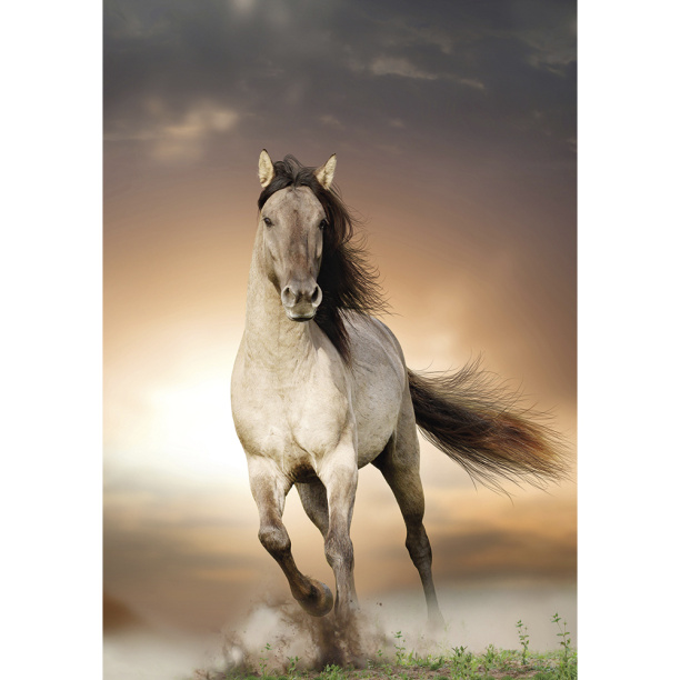 Фотообои бумажные Свобода 136х194 см от магазина ЛесКонПром.ру