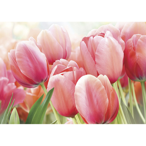 Фотообои бумажные Шлейф весны 194х136 см от магазина ЛесКонПром.ру