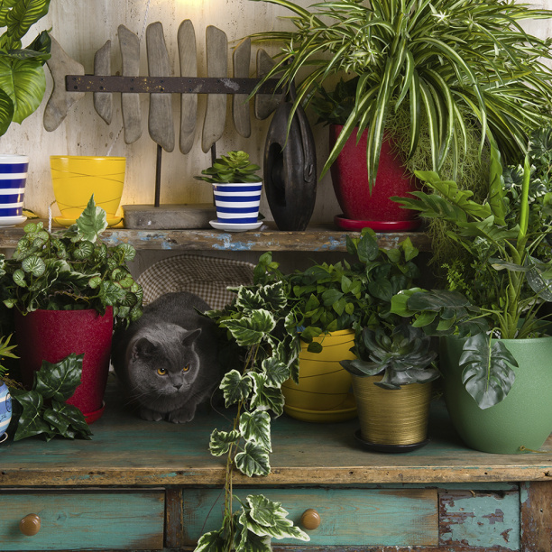 Затирка Церезит CE 33 сиена 2 кг от магазина ЛесКонПром.ру