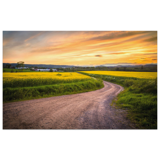 Канвас 70х110 см Дорога от магазина ЛесКонПром.ру