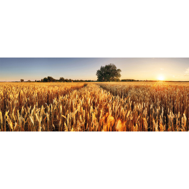 Канвас Калифорния 40х40 см от магазина ЛесКонПром.ру