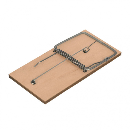 Защита от крыс и мышей