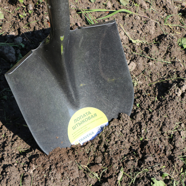 Лопата штыковая TRAVENA с фиберглассовым черенком от магазина ЛесКонПром.ру