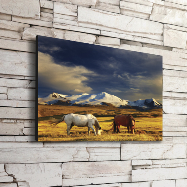 Декопанно Лошади 40х50 см от магазина ЛесКонПром.ру