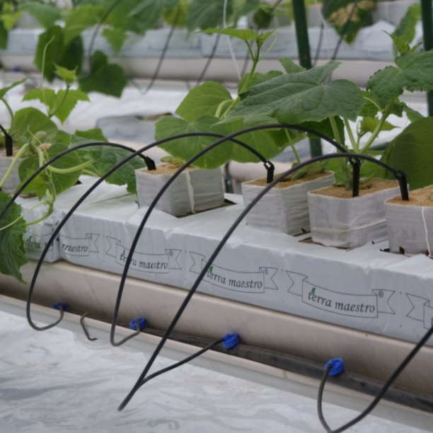 Микротрубка d3Х5 мм 5 метров от магазина ЛесКонПром.ру