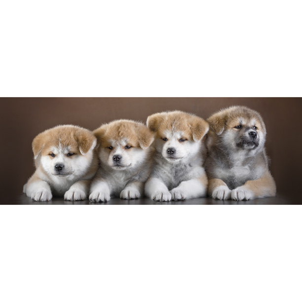 Фотообои бумажные Милая компания 272х97 см от магазина ЛесКонПром.ру