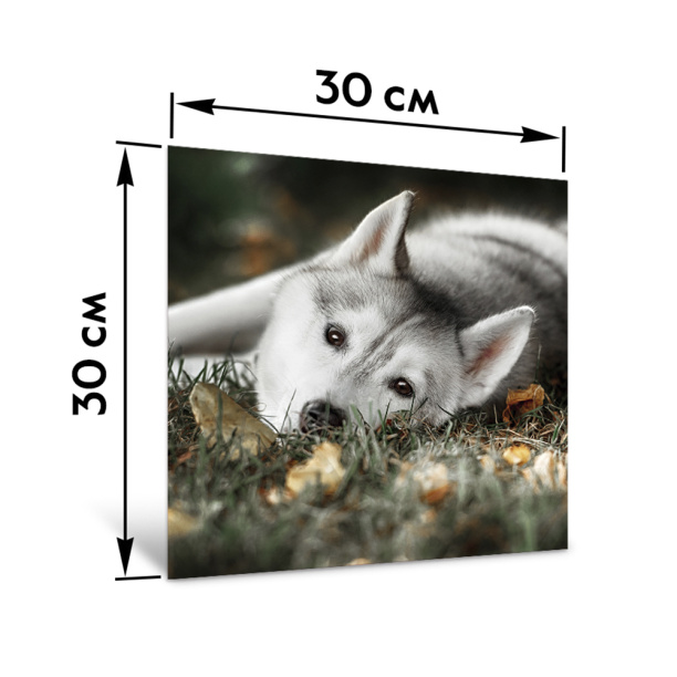 Канвас Eat Drink smile 22х22 см микс от магазина ЛесКонПром.ру