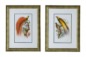 Картины и репродукции