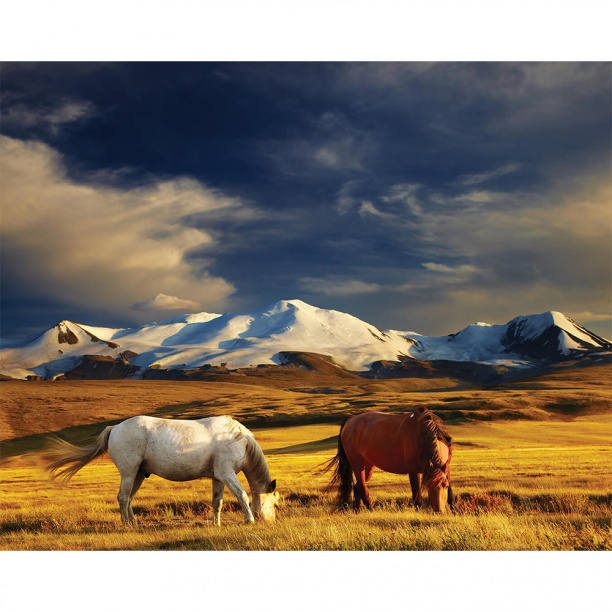 Декопанно Лошади 40х50 см от магазина ЛесКонПром.ру