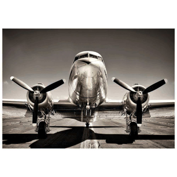 Картина Авиа 47х68 см на ПВХ от магазина ЛесКонПром.ру