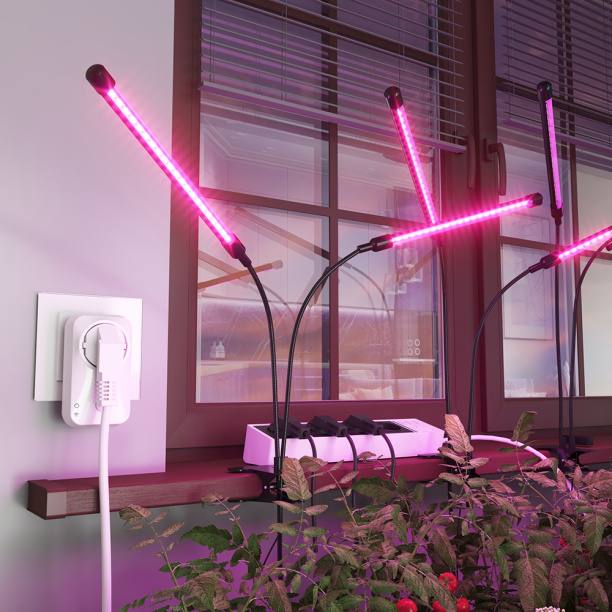 Умная розетка Elektrostandard c Wi-Fi от магазина ЛесКонПром.ру