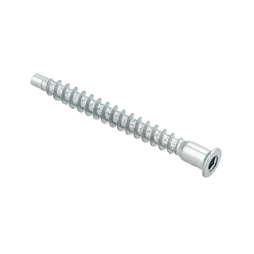 Конфирматы