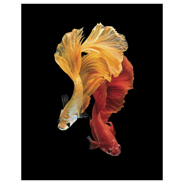 Канвас Манхэттенхендж 50х70 см от магазина ЛесКонПром.ру