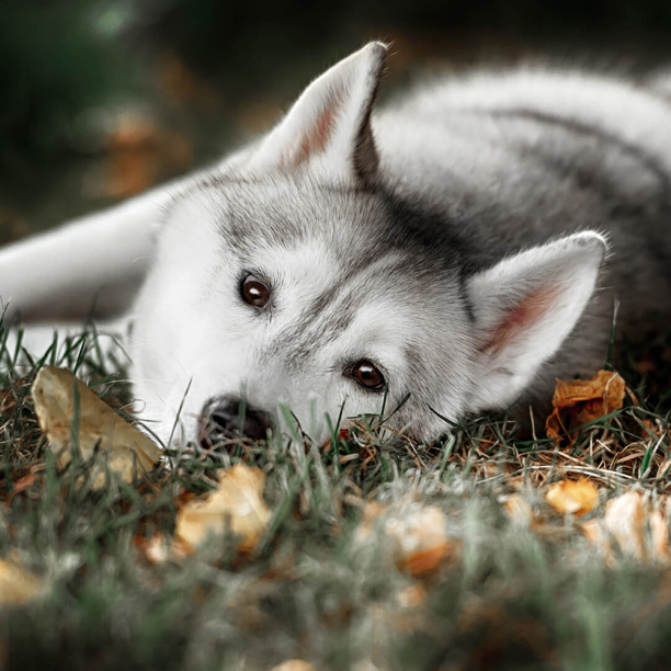 Канвас Eat Drink smile 22х22 см микс от магазина ЛесКонПром.ру