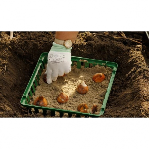 Корзина для луковичных 8х30х30см от магазина ЛесКонПром.ру