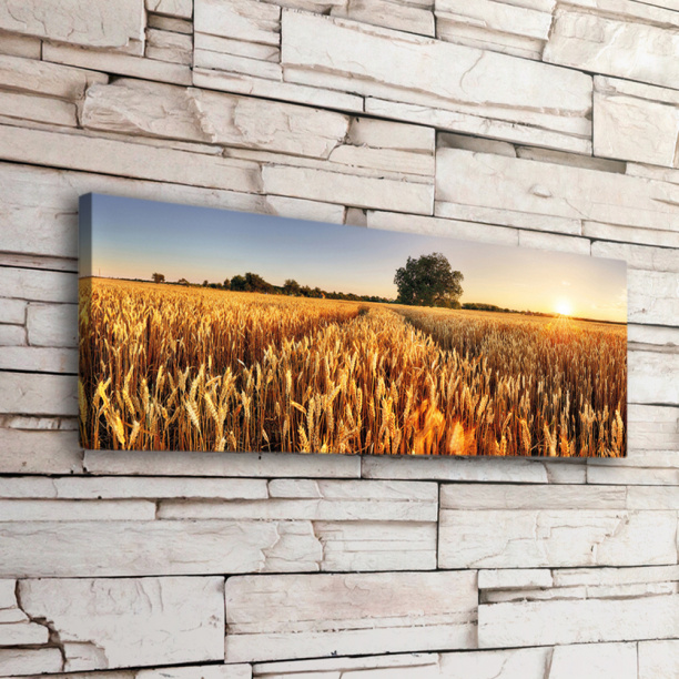 Канвас Калифорния 40х40 см от магазина ЛесКонПром.ру