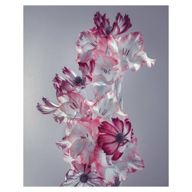 Картина на стекле Розовые лепестки 40х50 см от магазина ЛесКонПром.ру