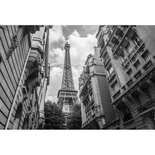Фотообои флизелиновые Париж 400х270 см от магазина ЛесКонПром.ру