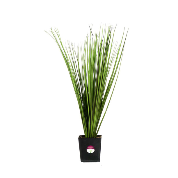 Искусственная ветка Антуриум высота 38 см от магазина ЛесКонПром.ру