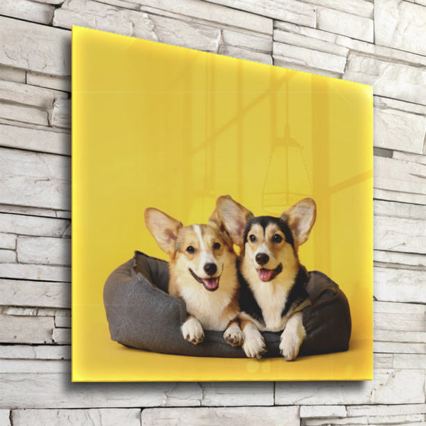 Картина на стекле 30х30 см Волк от магазина ЛесКонПром.ру