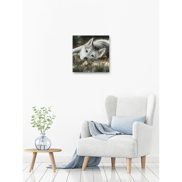 Канвас Eat Drink smile 22х22 см микс от магазина ЛесКонПром.ру