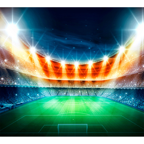 Фотообои флизелиновые Футбольное поле 300х270 см от магазина ЛесКонПром.ру