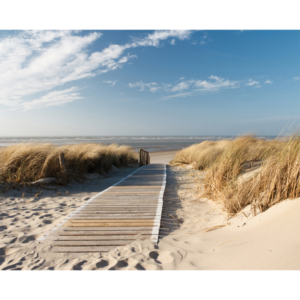 Декопанно Северные дюны 40х50 см от магазина ЛесКонПром.ру