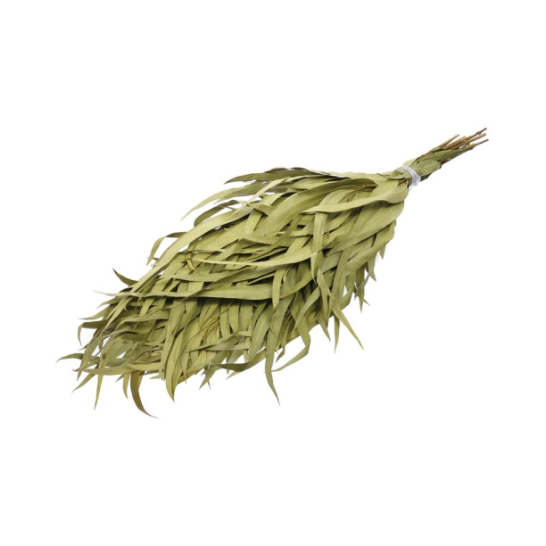 Веник для бани эвкалиптовый от магазина ЛесКонПром.ру