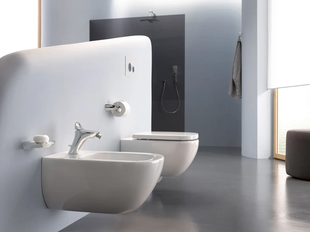 Мыльница Kludi Ambienta 5398505 от магазина ЛесКонПром.ру