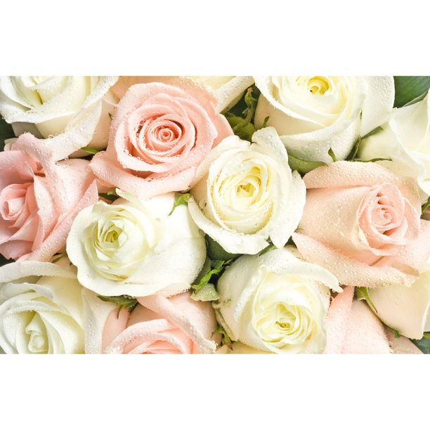 Фотообои флизелиновые 200х130 см Нежный букет от магазина ЛесКонПром.ру