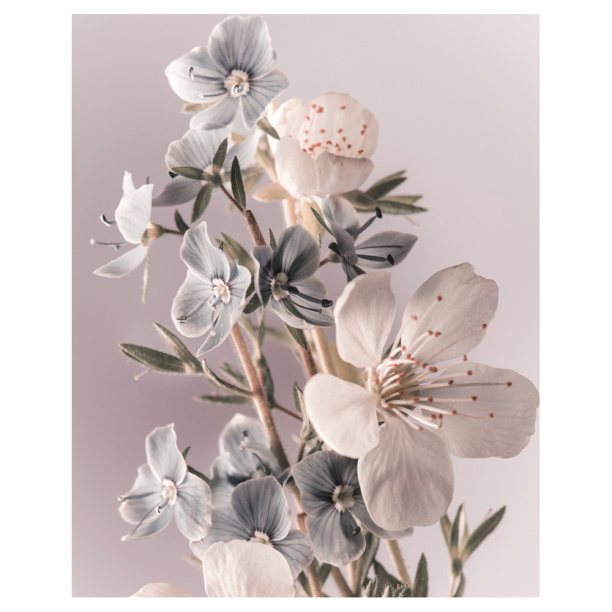 Канвас Правила Мамы 40х50 см от магазина ЛесКонПром.ру