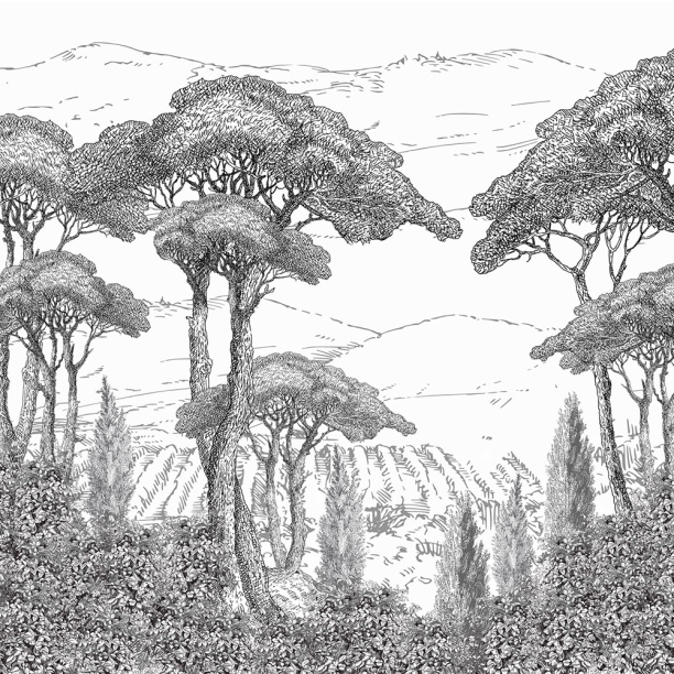 Фотообои флизелиновые Деревья 264-015А 300х270см от магазина ЛесКонПром.ру