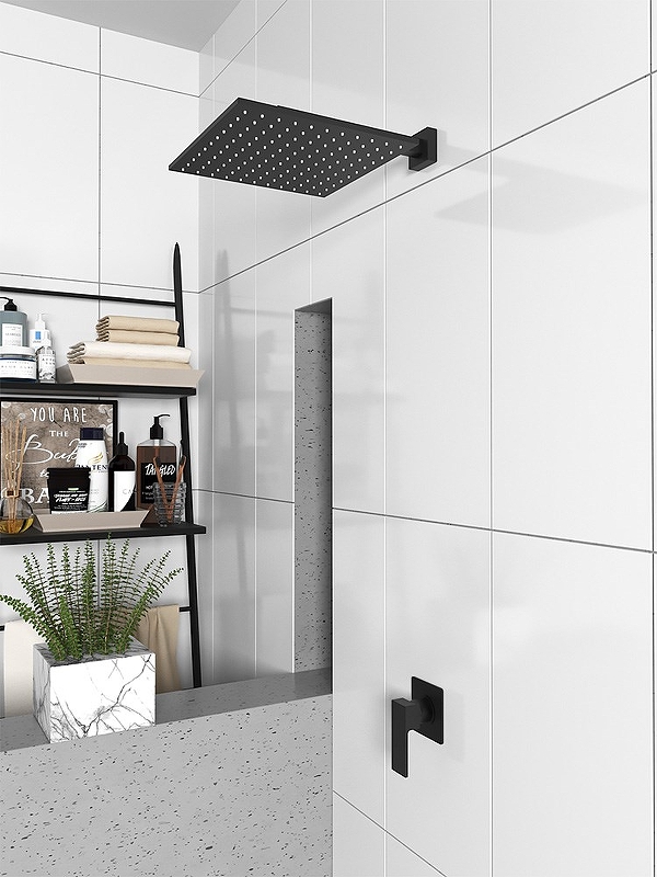 Верхний душ Paini 50PZ759QQ25 Черный матовый от магазина ЛесКонПром.ру