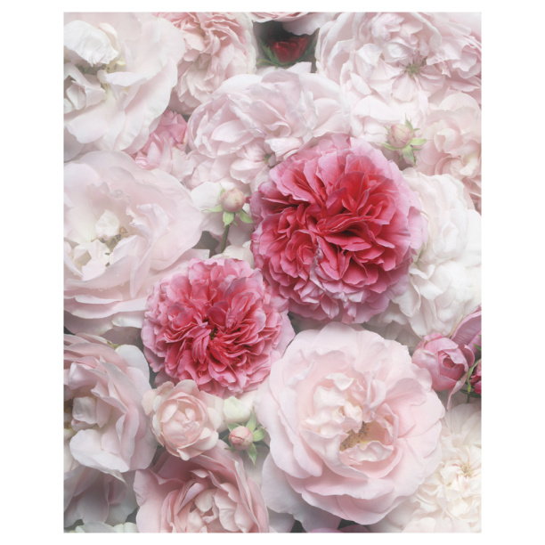 Картина на стекле Розовое настроение 40х50 см от магазина ЛесКонПром.ру