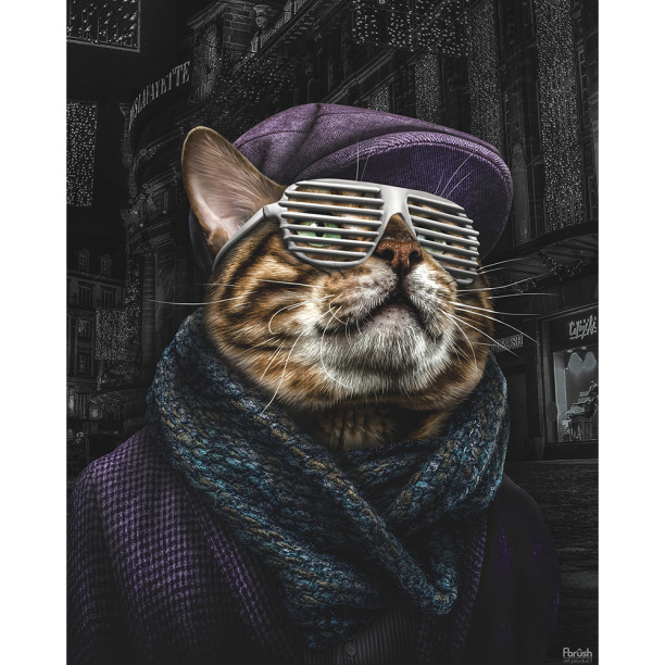 Канвас 40х50 см Кот-хипстер 3 от магазина ЛесКонПром.ру