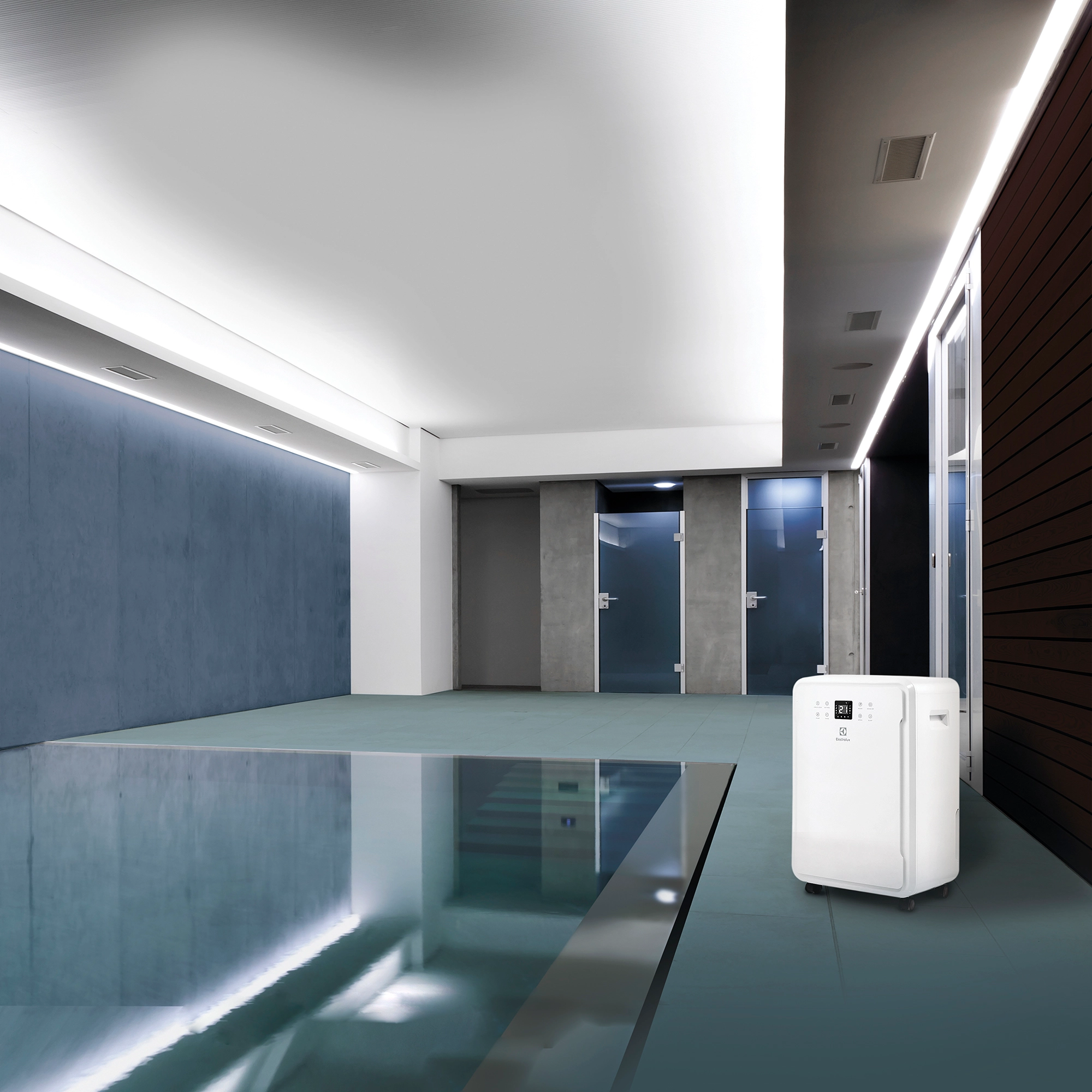 Осушитель воздуха Electrolux EDH-65L от магазина ЛесКонПром.ру