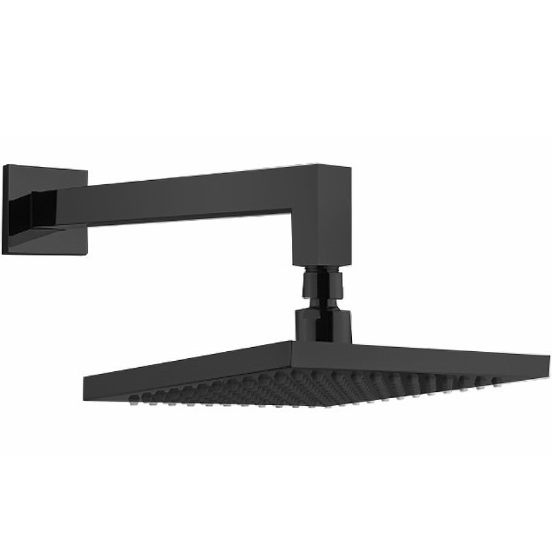 Верхний душ Webert AC0840560 Черный от магазина ЛесКонПром.ру