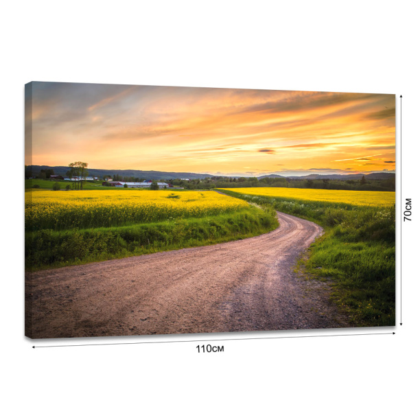 Канвас 70х110 см Дорога от магазина ЛесКонПром.ру