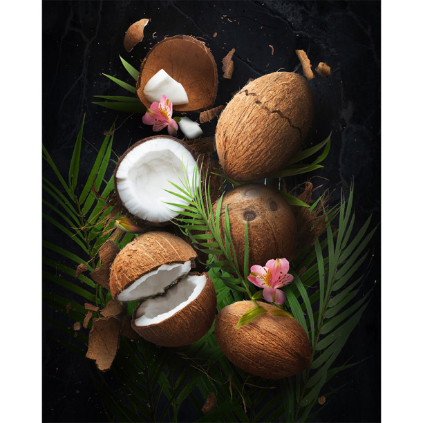 Картина на стекле Кокос 40х50 см от магазина ЛесКонПром.ру