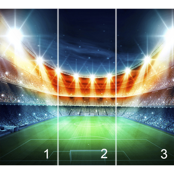 Фотообои флизелиновые Футбольное поле 300х270 см от магазина ЛесКонПром.ру