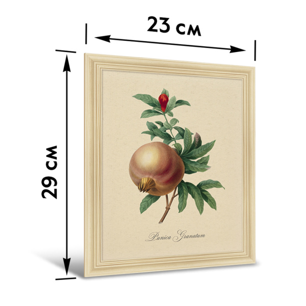 Картина на стекле Рыбка №13, 40х40 см от магазина ЛесКонПром.ру