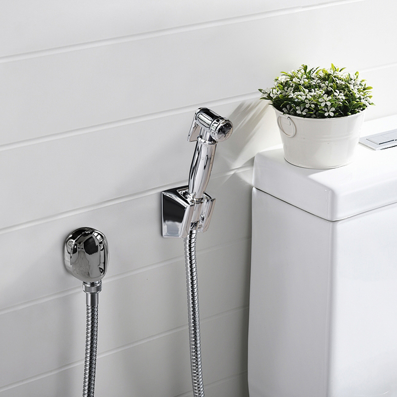 Гигиенический душ Paini Aria 53CR174KIT Хром от магазина ЛесКонПром.ру