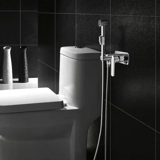 Гигиенический душ LeMark Plus Grace встраиваемый хром от магазина ЛесКонПром.ру