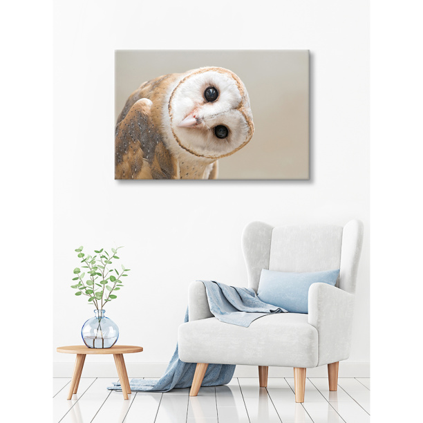 Канвас Любопытная сова 60х90 см от магазина ЛесКонПром.ру