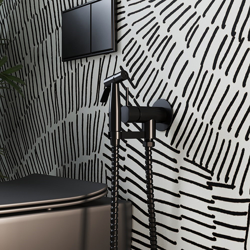 Гигиенический душ Paini Isola ISPZ442 Черный от магазина ЛесКонПром.ру