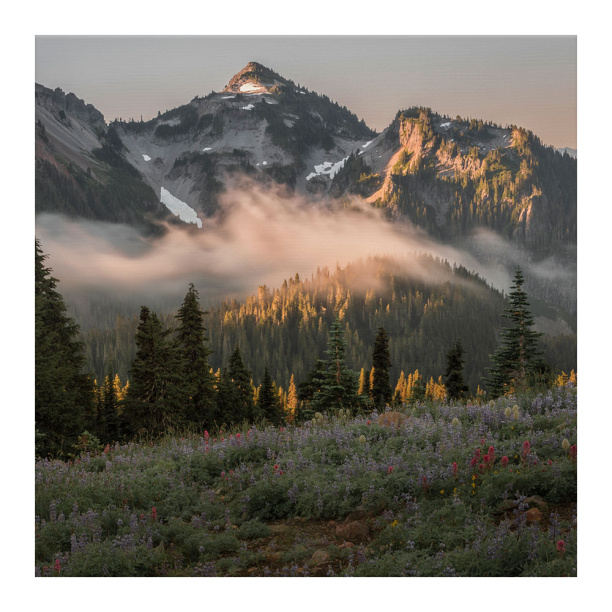 Канвас 40х50 см Паруса от магазина ЛесКонПром.ру