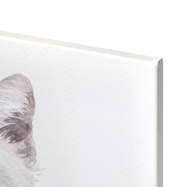 Канвас 40х50 см Балет от магазина ЛесКонПром.ру