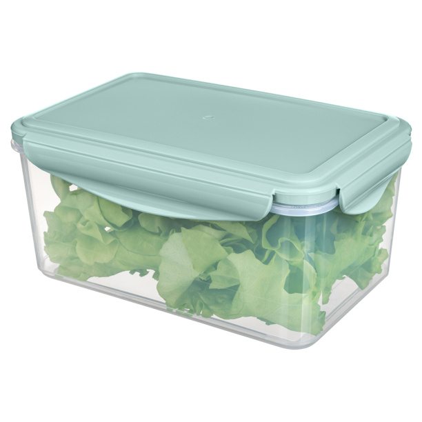 Контейнер для бутербродов пластиковый от магазина ЛесКонПром.ру